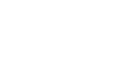 DSM-logo
